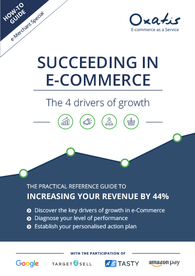Guide: Succeeding in e-Commerce Guide: Succeeding in e-Commerce