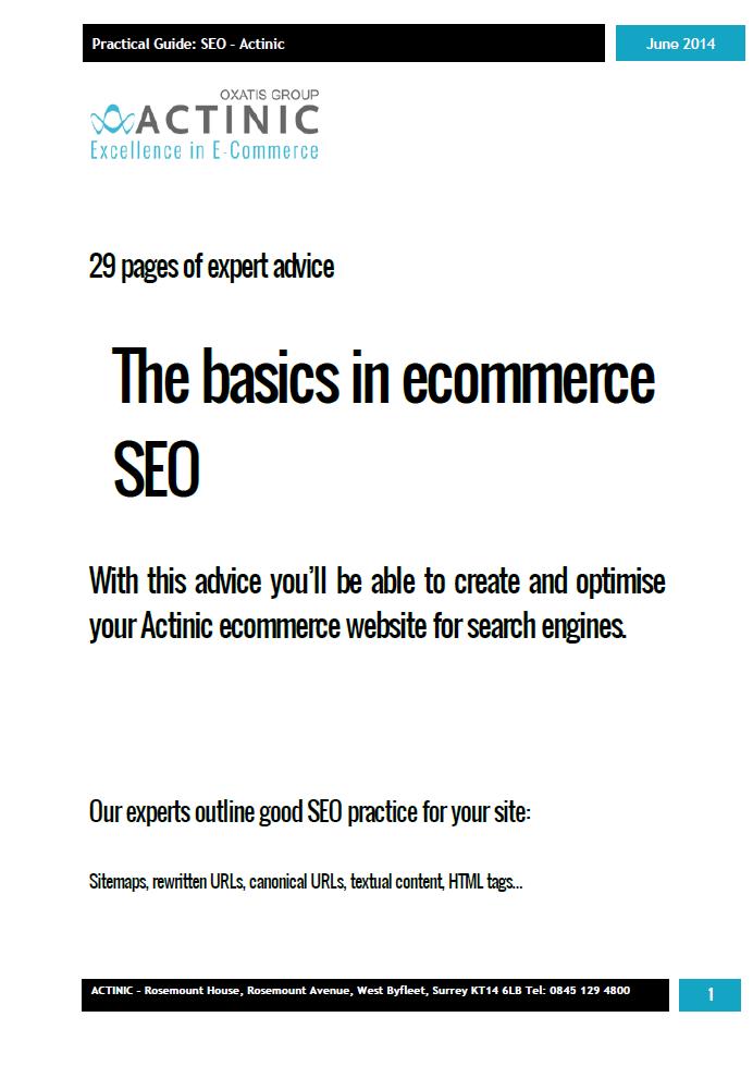 Ecommerce SEO Guide