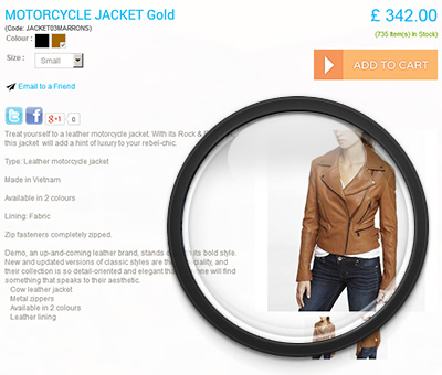 catalogue options catalogue options