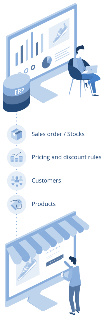 eCommerce ERP Integration - Process